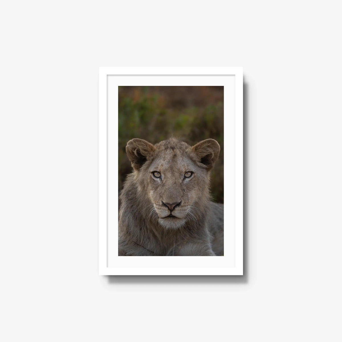 The Apprentice — medium / white / mat