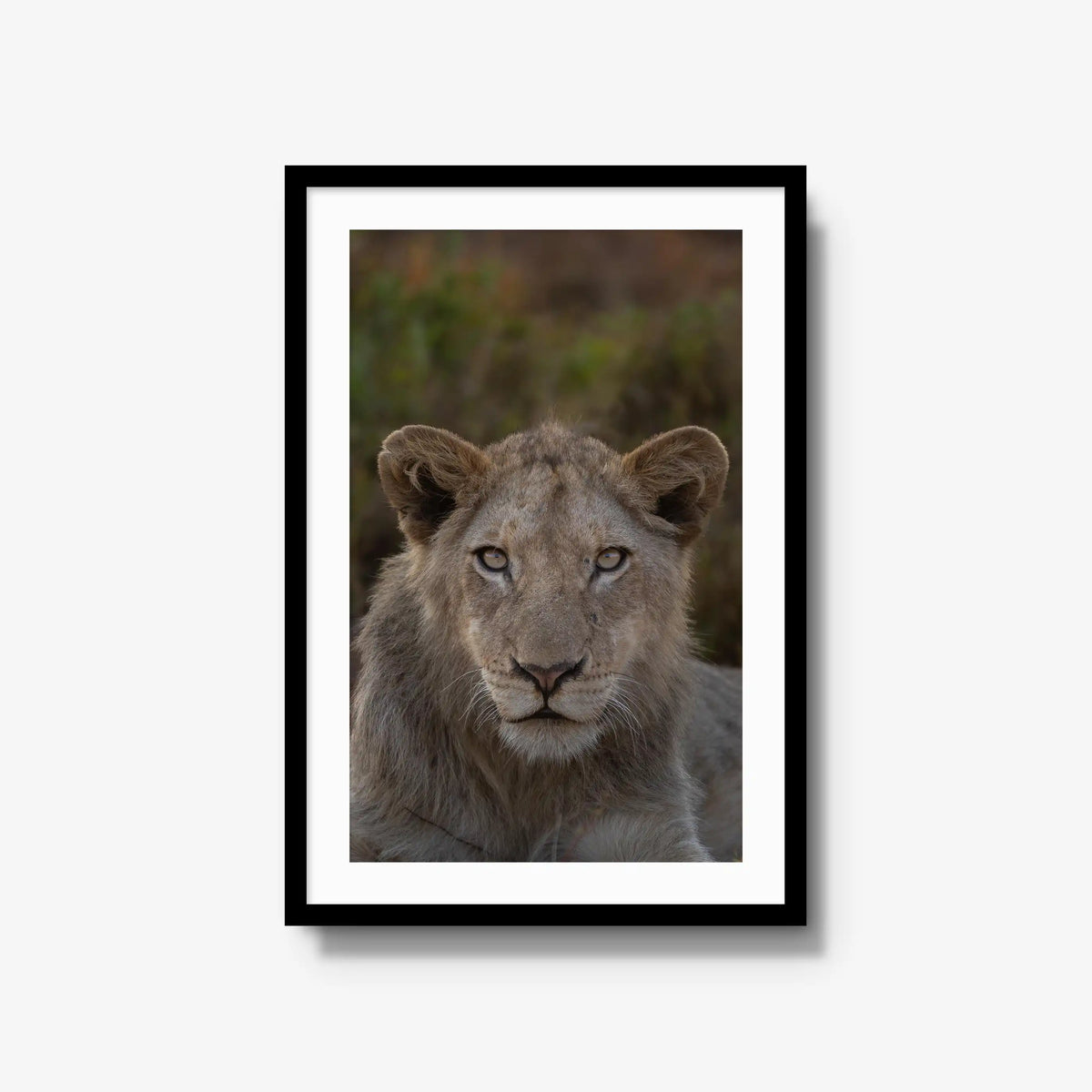 The Apprentice — large / black / mat