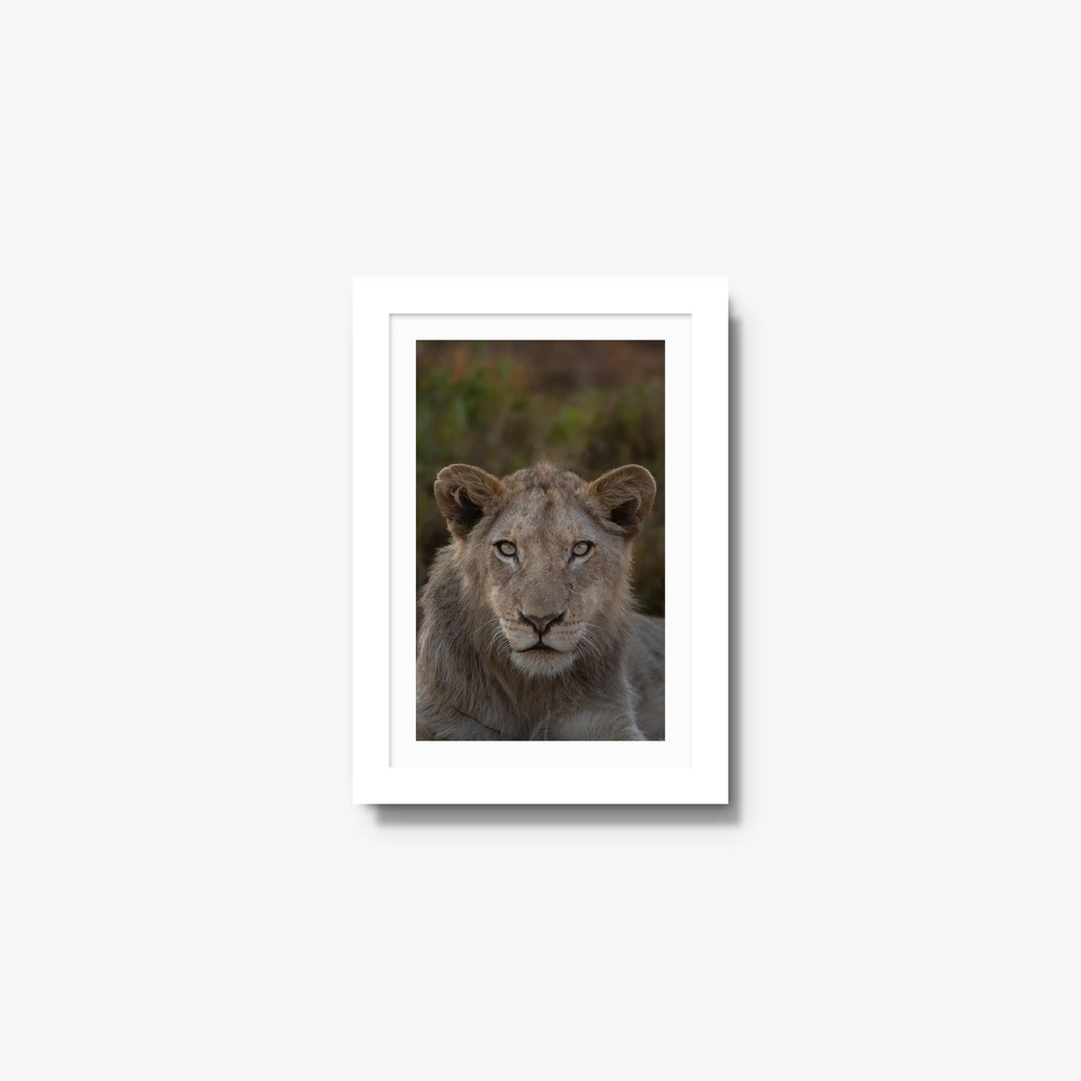 The Apprentice — mini / white / mat