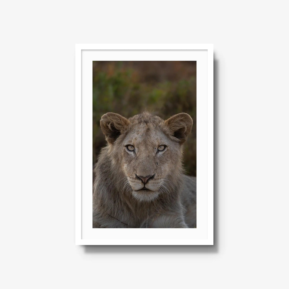 The Apprentice — large / white / mat