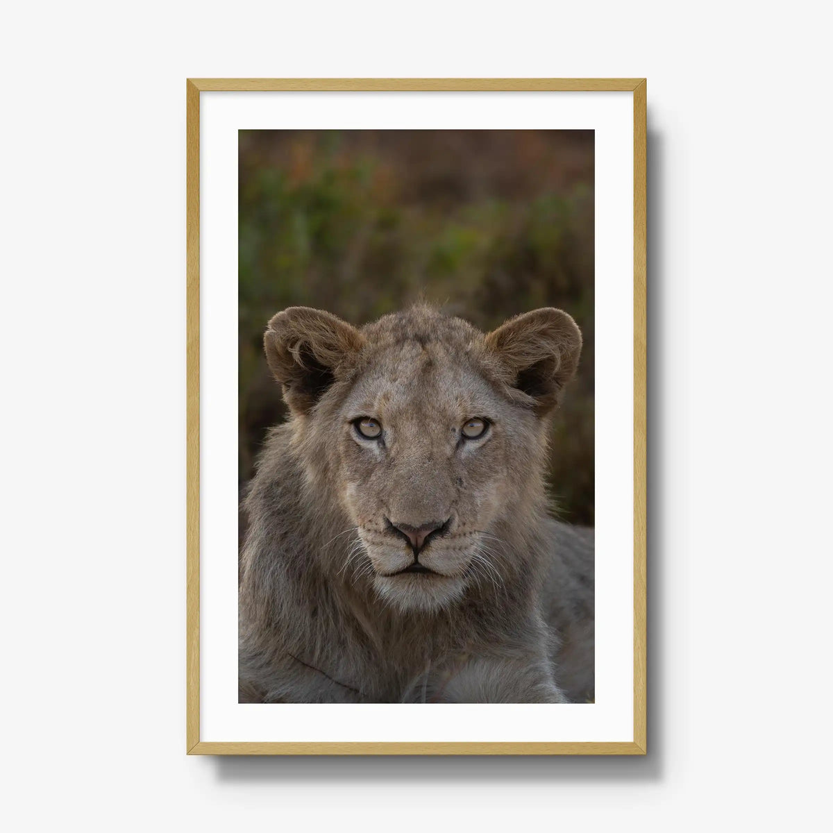 The Apprentice — gallery / natural / mat