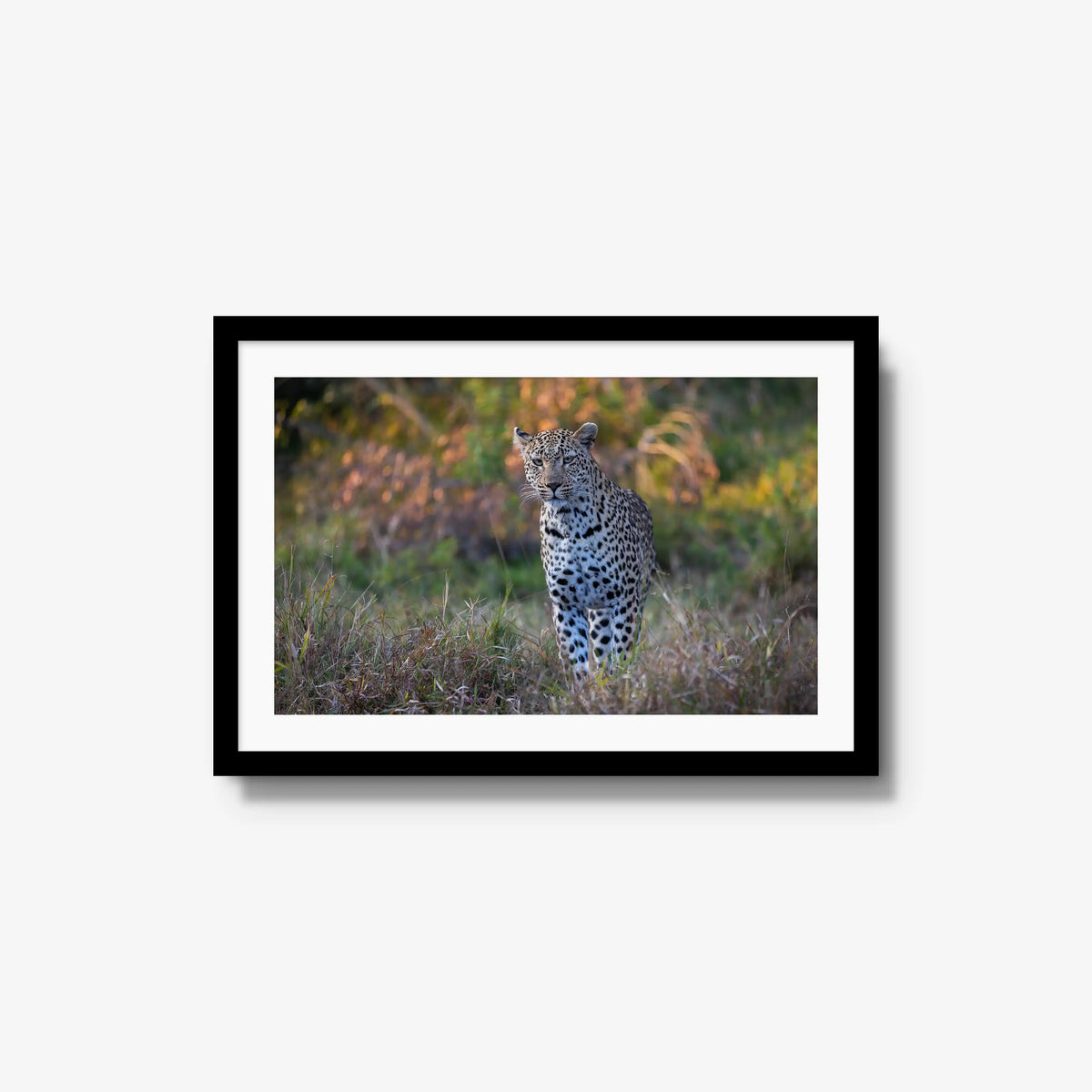 The Approach — medium / black / mat