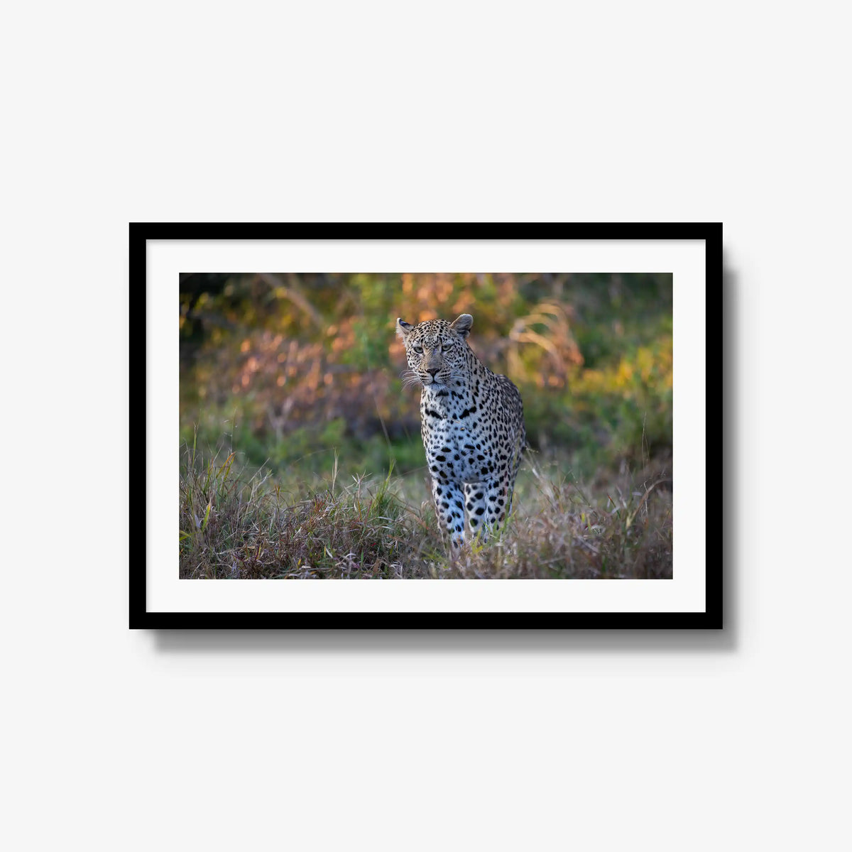 The Approach — large / black / mat