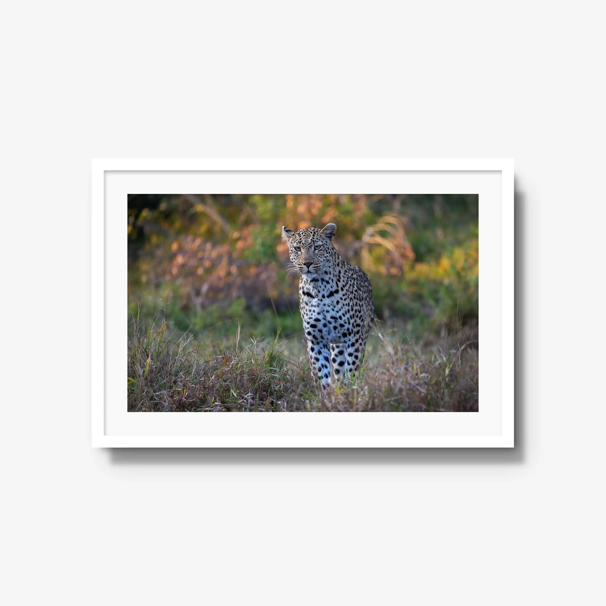 The Approach — large / white / mat