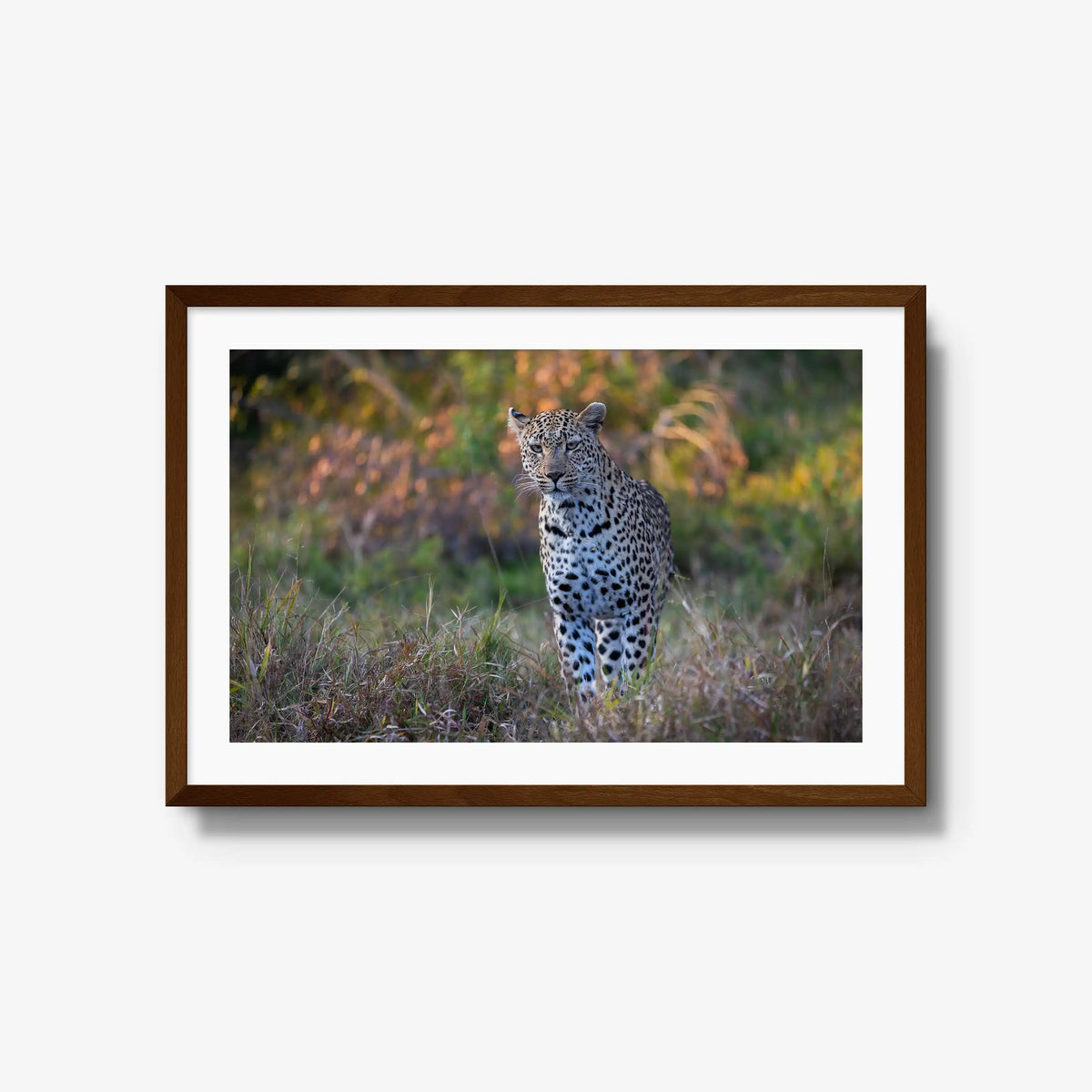 The Approach — large / brown / mat
