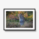 The Approach — gallery / black / mat