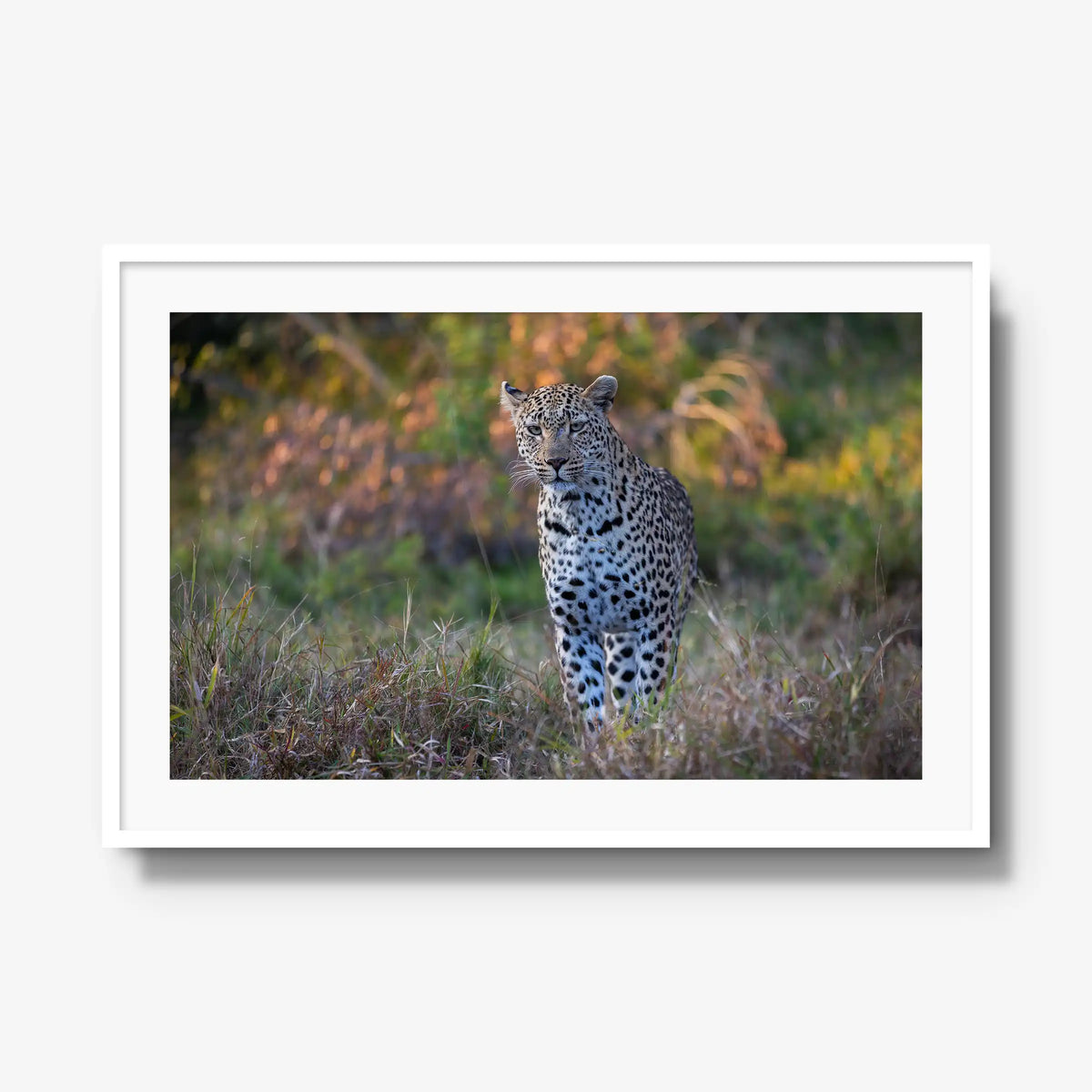The Approach — gallery / white / mat