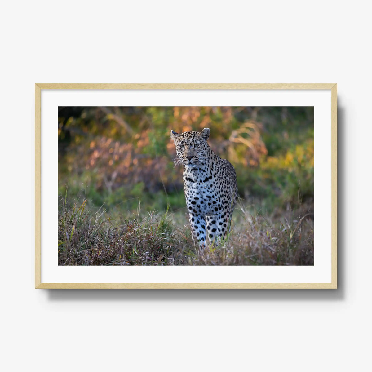 The Approach — gallery / natural / mat