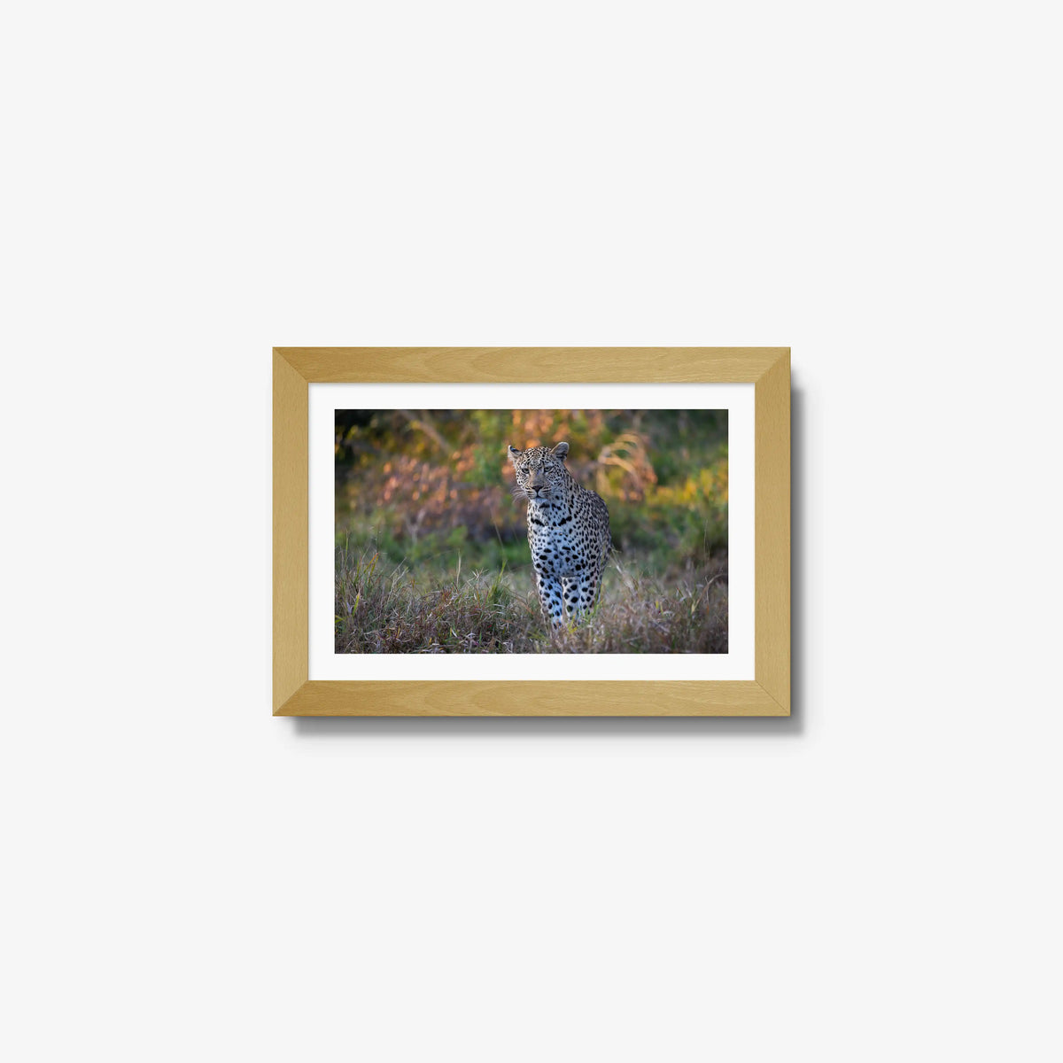 The Approach — mini / natural / mat