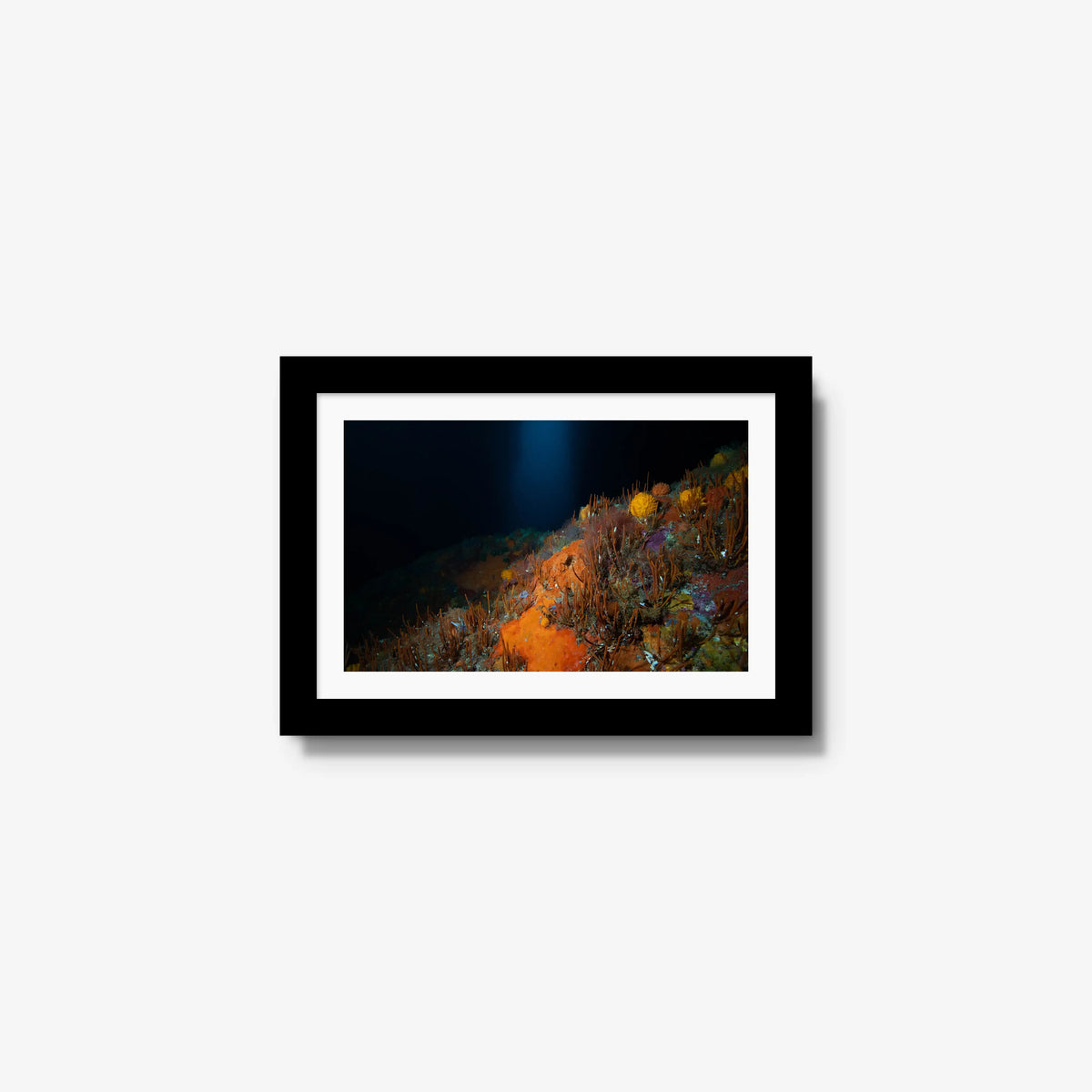The Northern Arch — mini / black / mat