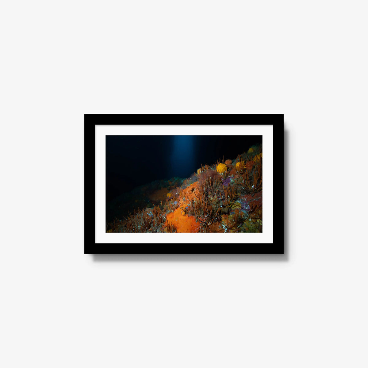 The Northern Arch — small / black / mat