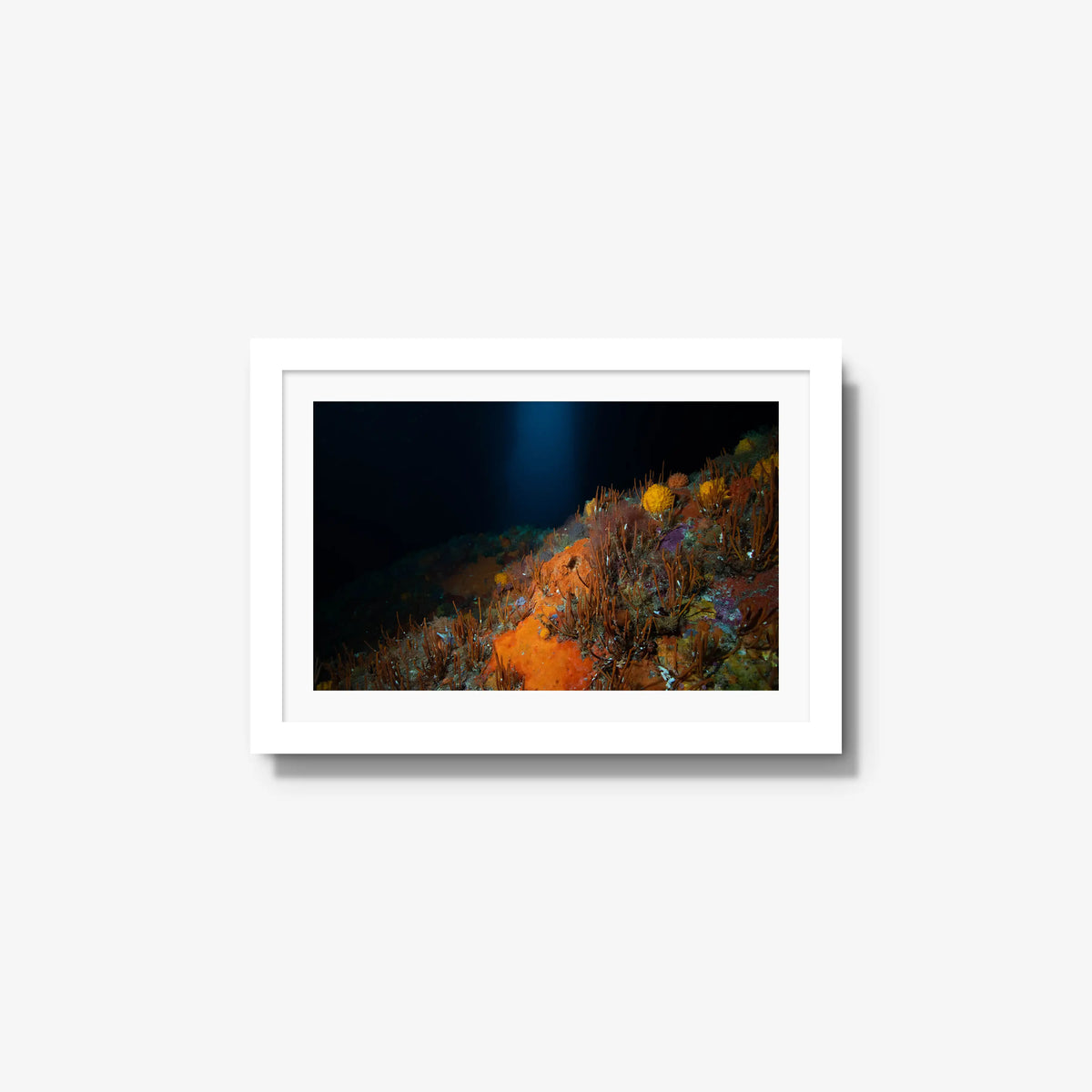 The Northern Arch — small / white / mat
