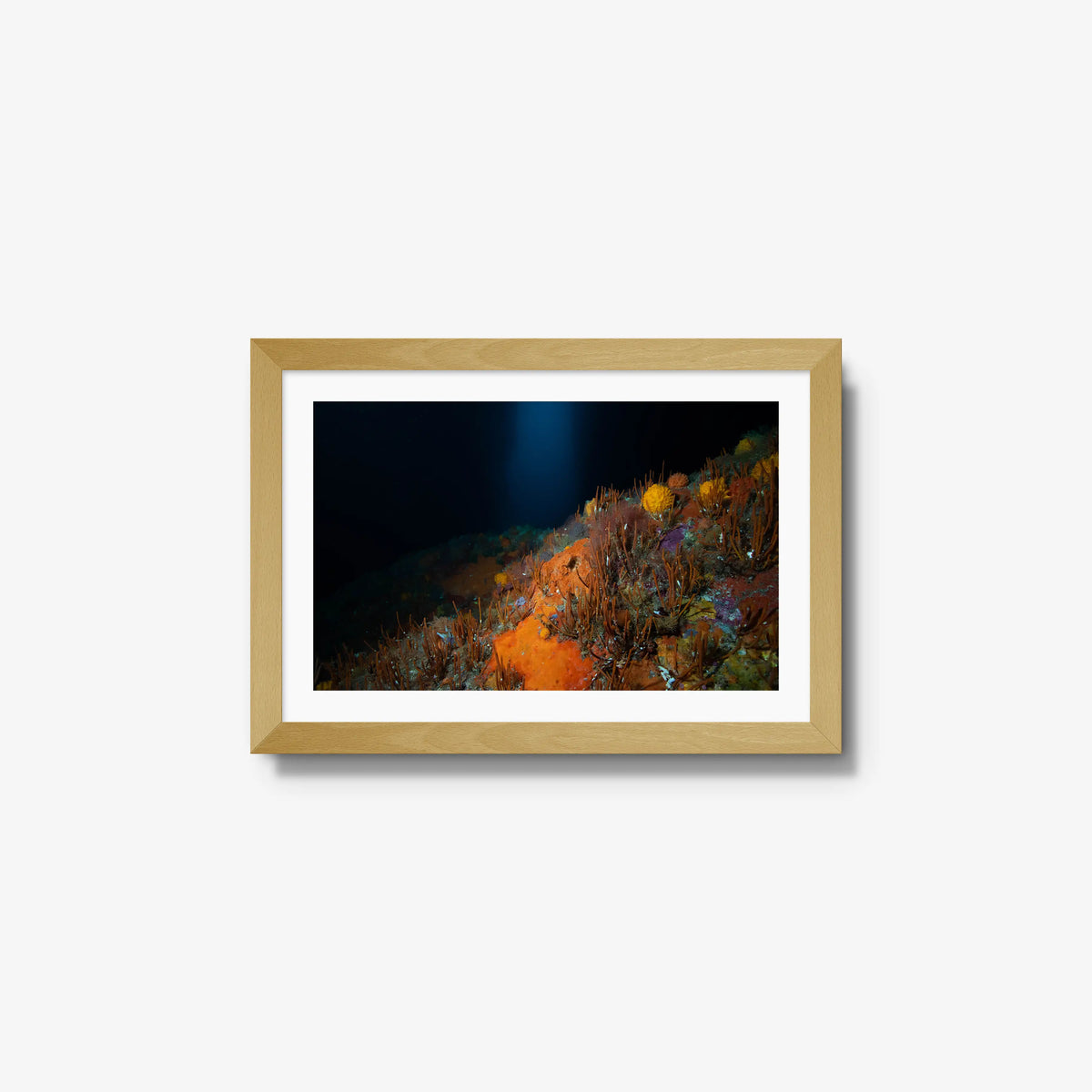 The Northern Arch — small / natural / mat