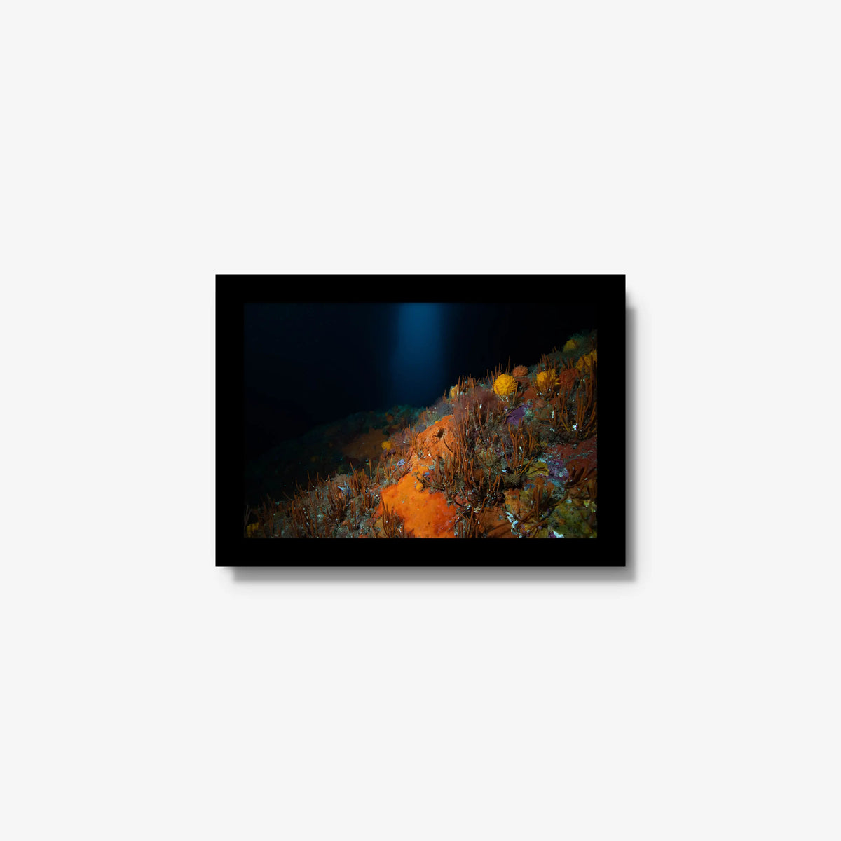 The Northern Arch — mini / black / full