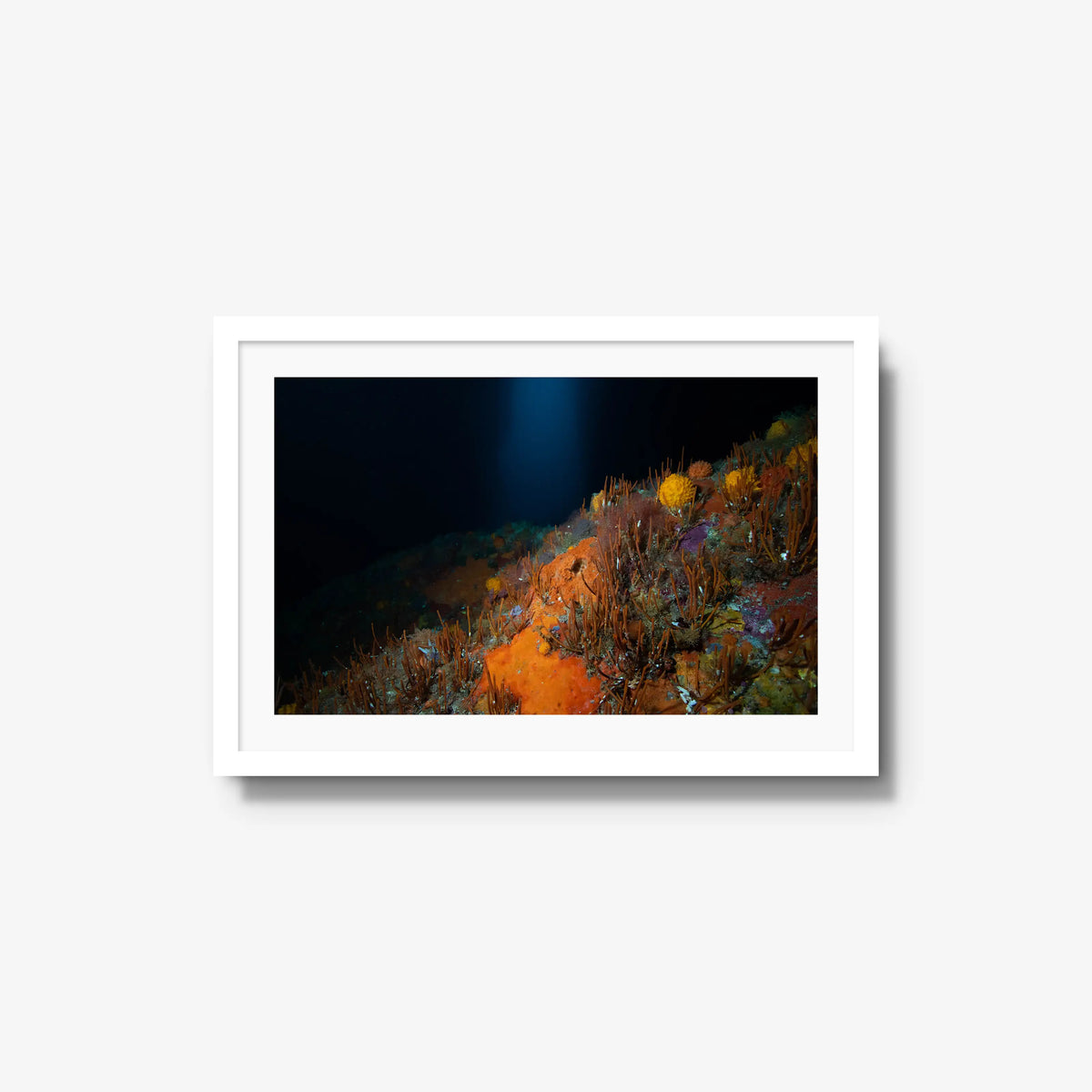The Northern Arch — medium / white / mat
