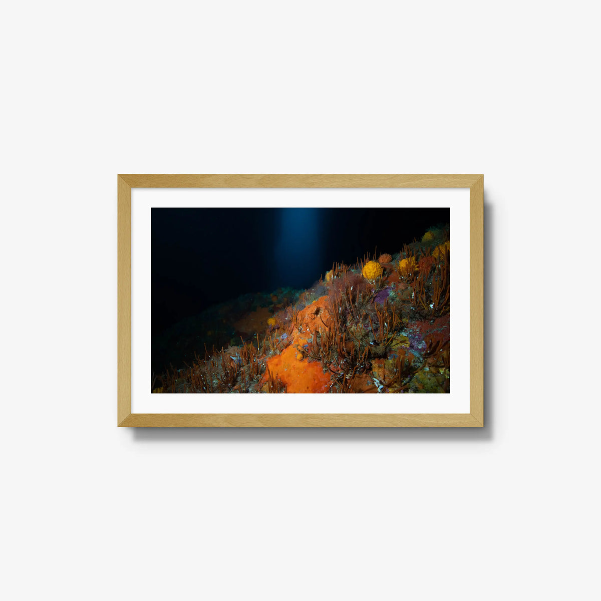 The Northern Arch — medium / natural / mat