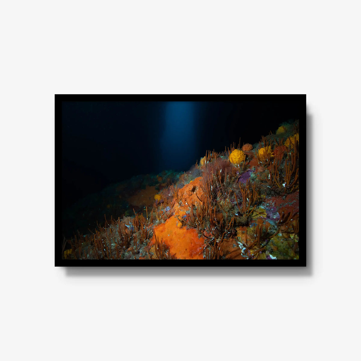 The Northern Arch — large / black / full