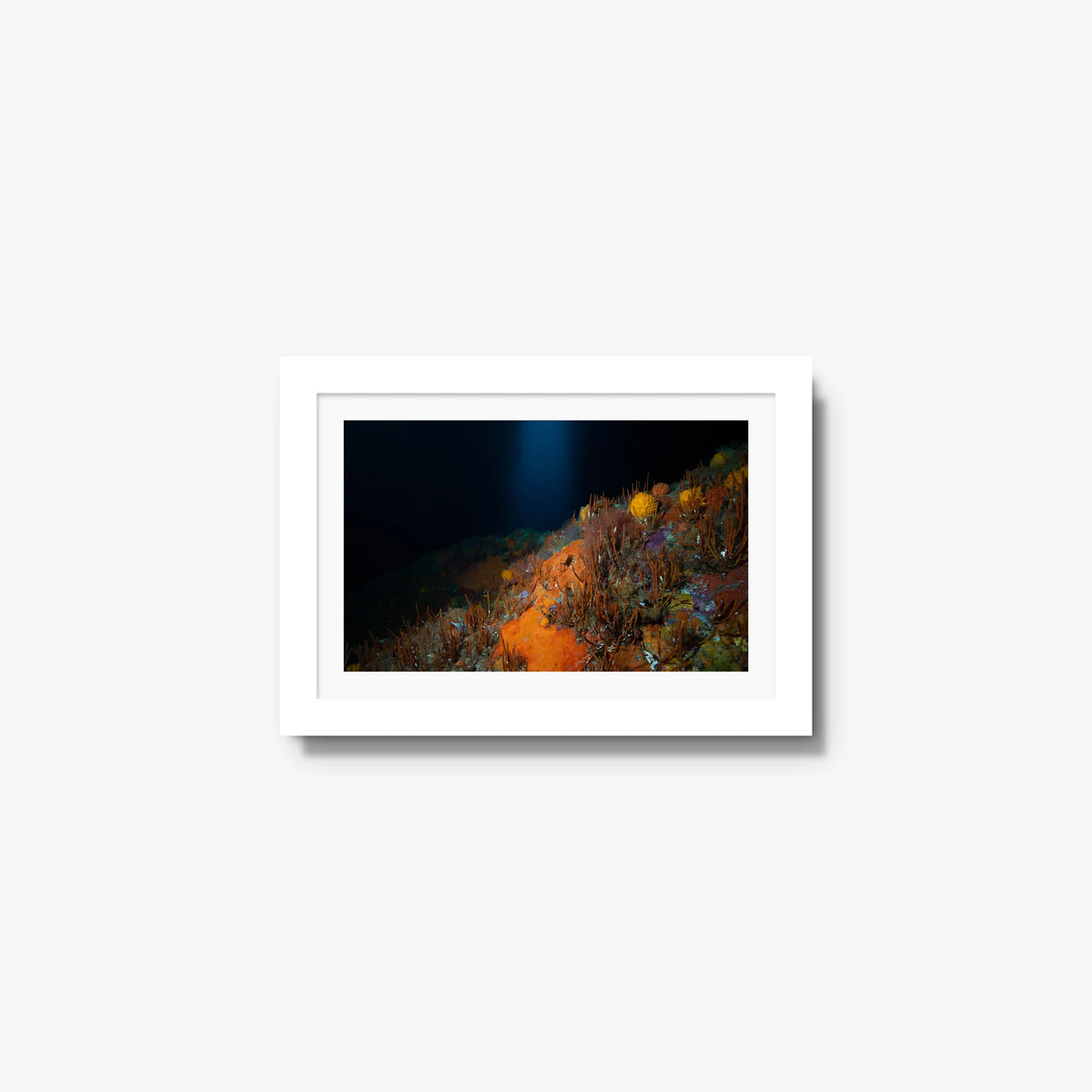 The Northern Arch — mini / white / mat