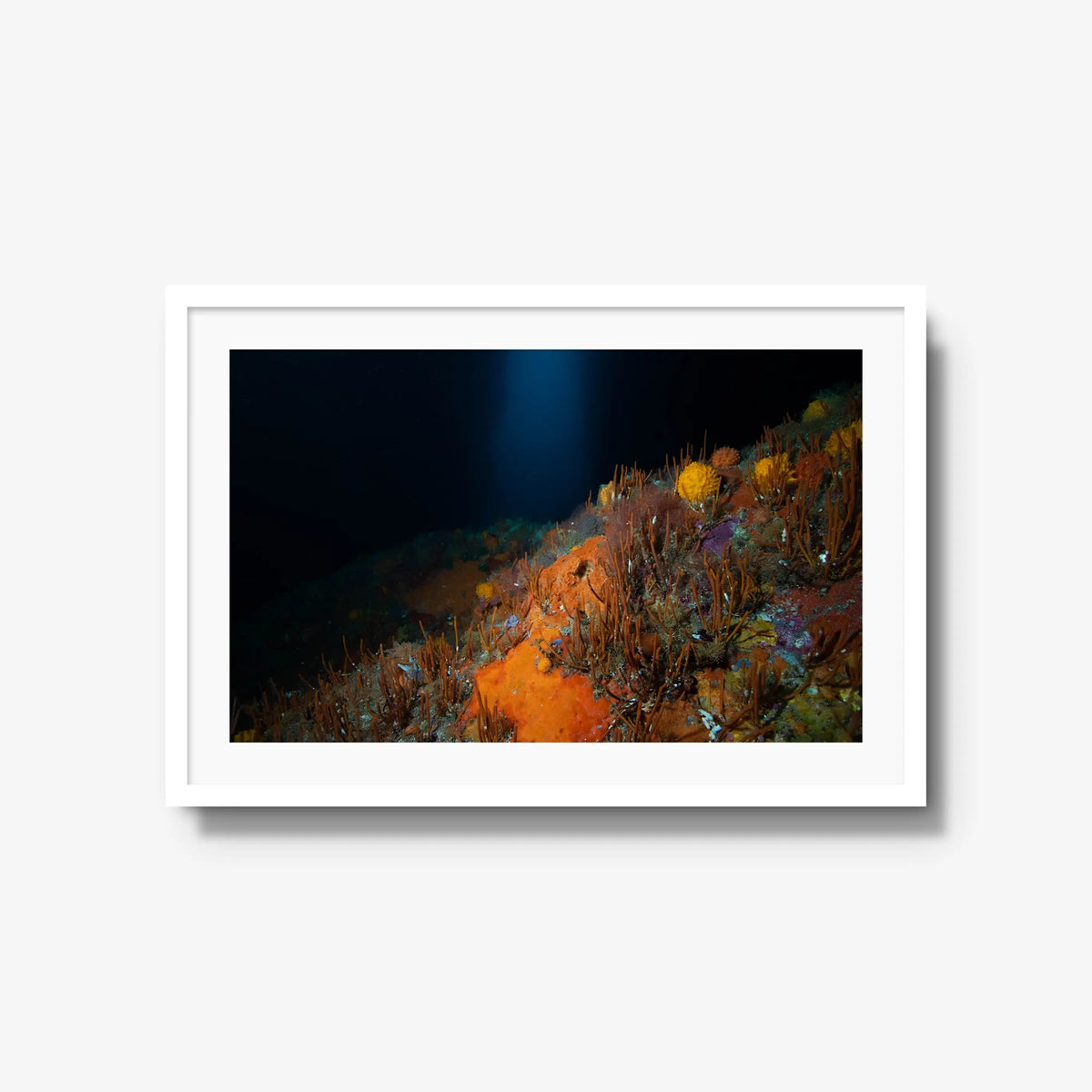 The Northern Arch — large / white / mat