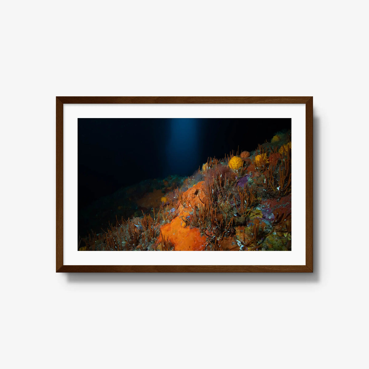 The Northern Arch — large / brown / mat