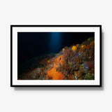 The Northern Arch — gallery / black / mat