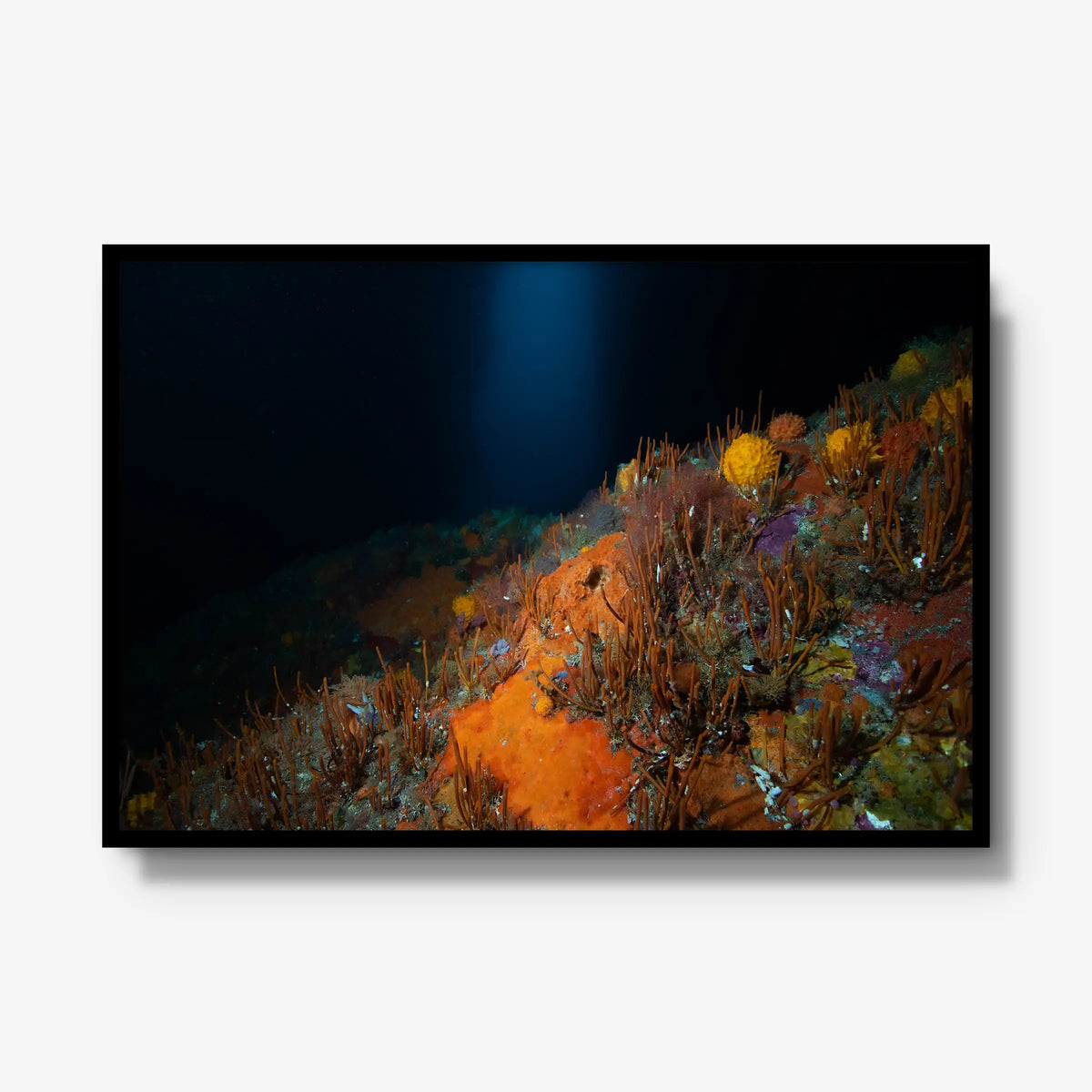 The Northern Arch — gallery / black / full