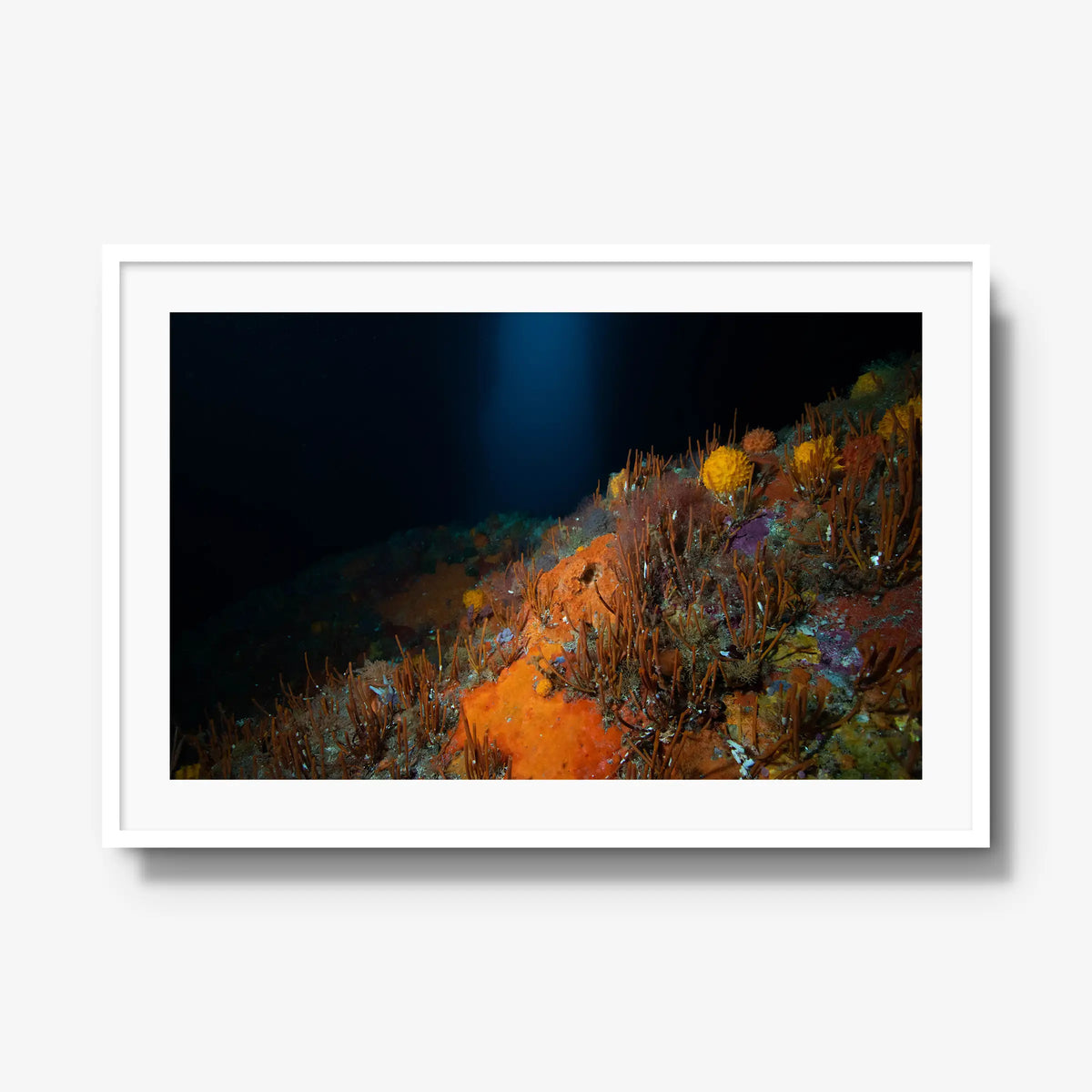 The Northern Arch — gallery / white / mat