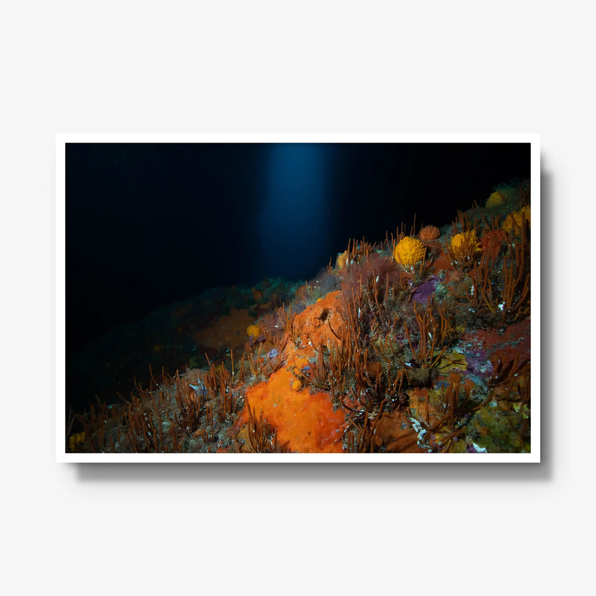 The Northern Arch — gallery / white / full