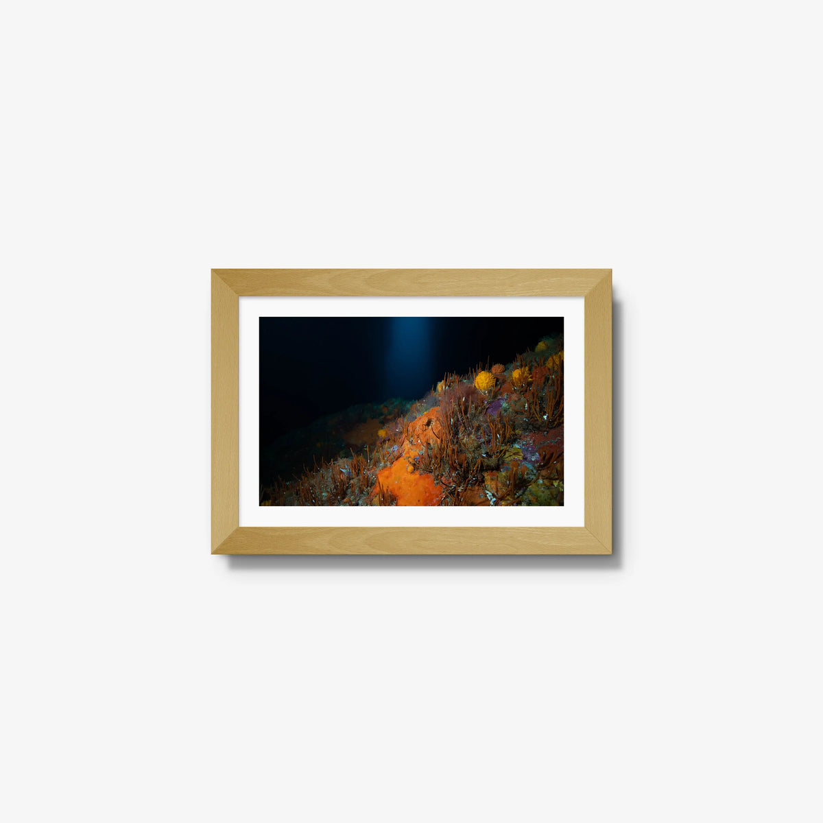 The Northern Arch — mini / natural / mat