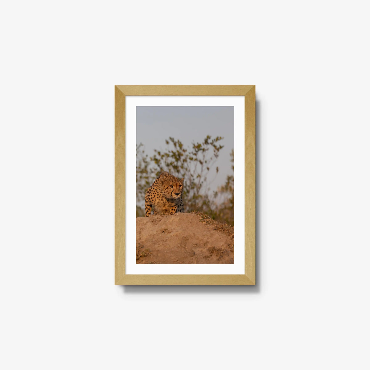 The Survey — small / natural / mat