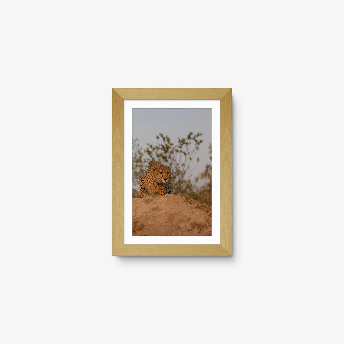 The Survey — mini / natural / mat