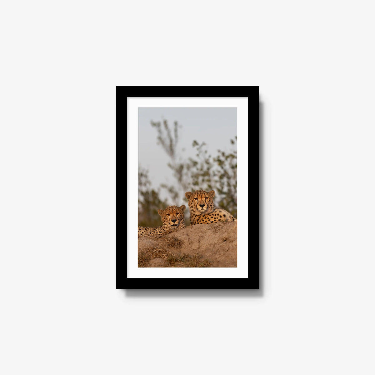 Wait — small / black / mat