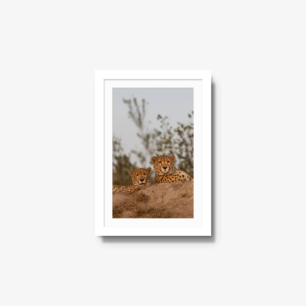 Wait — small / white / mat