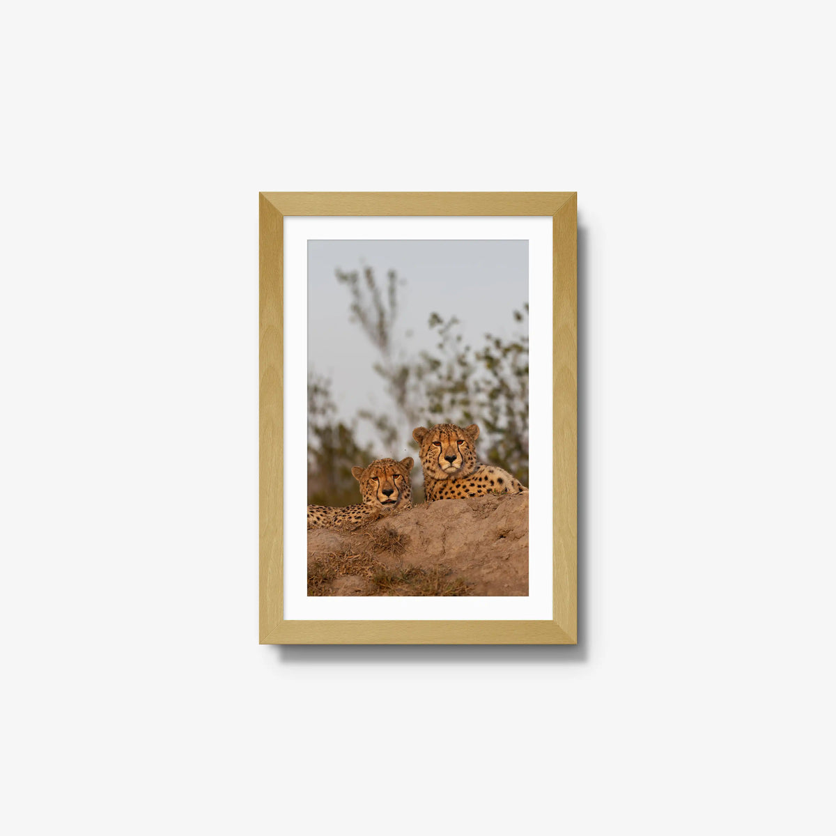 Wait — small / natural / mat