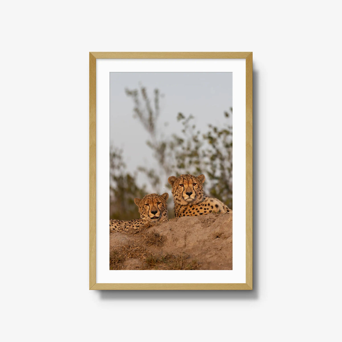 Wait — large / natural / mat