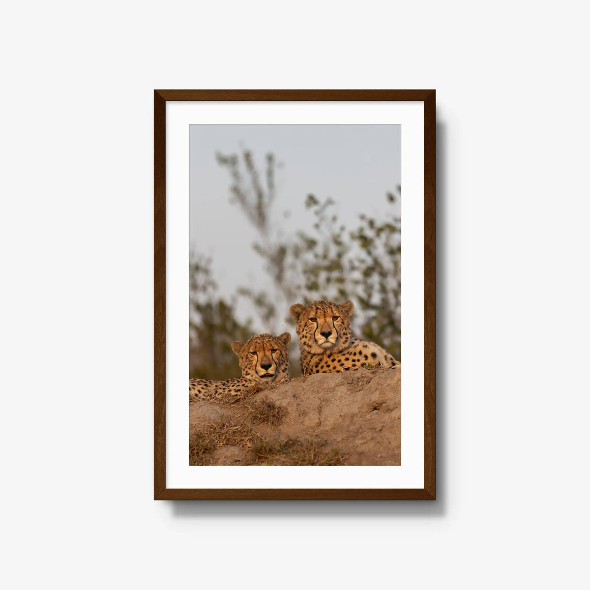 Wait — large / brown / mat