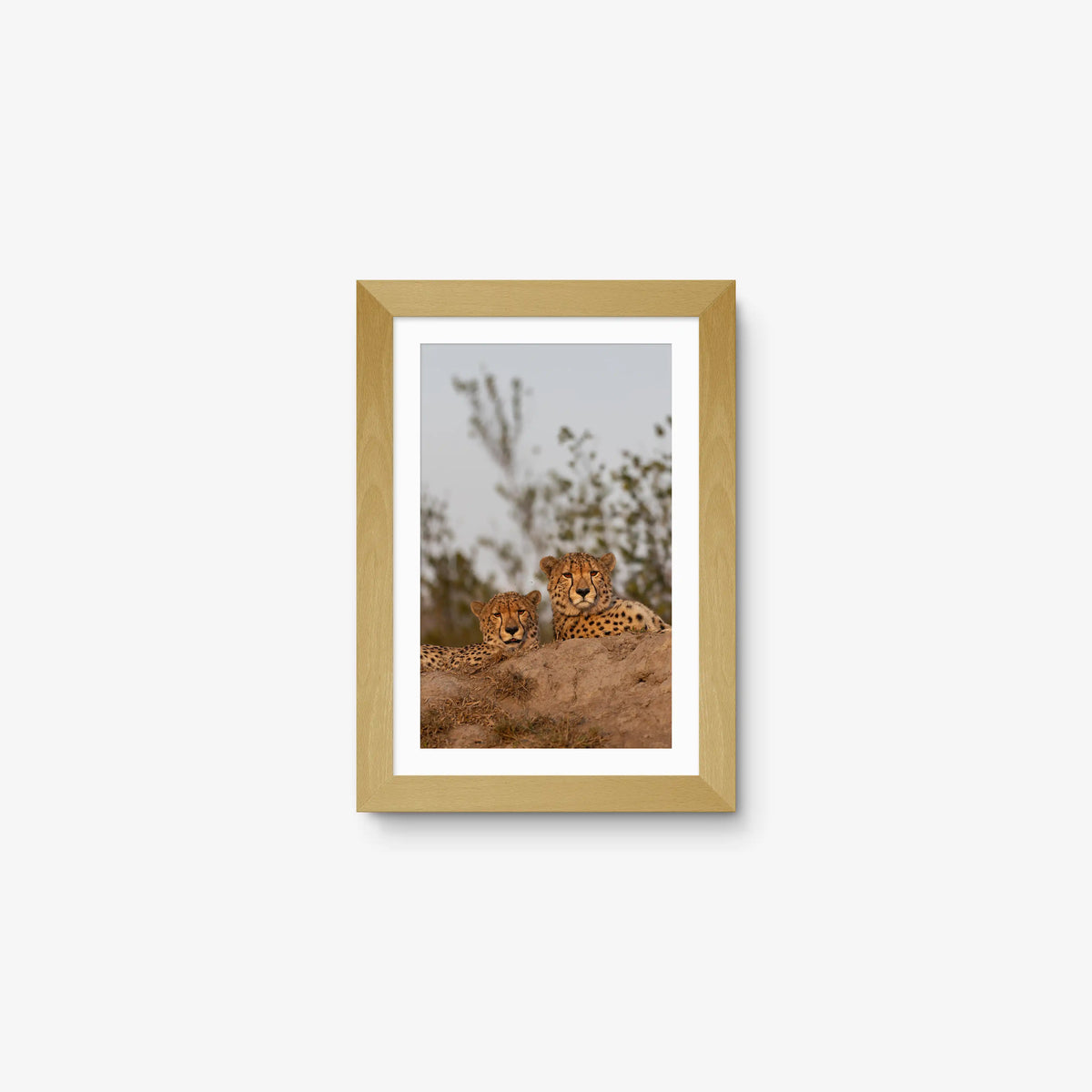 Wait — mini / natural / mat