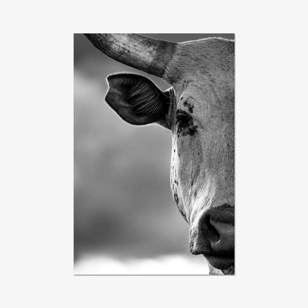 The Watcher I