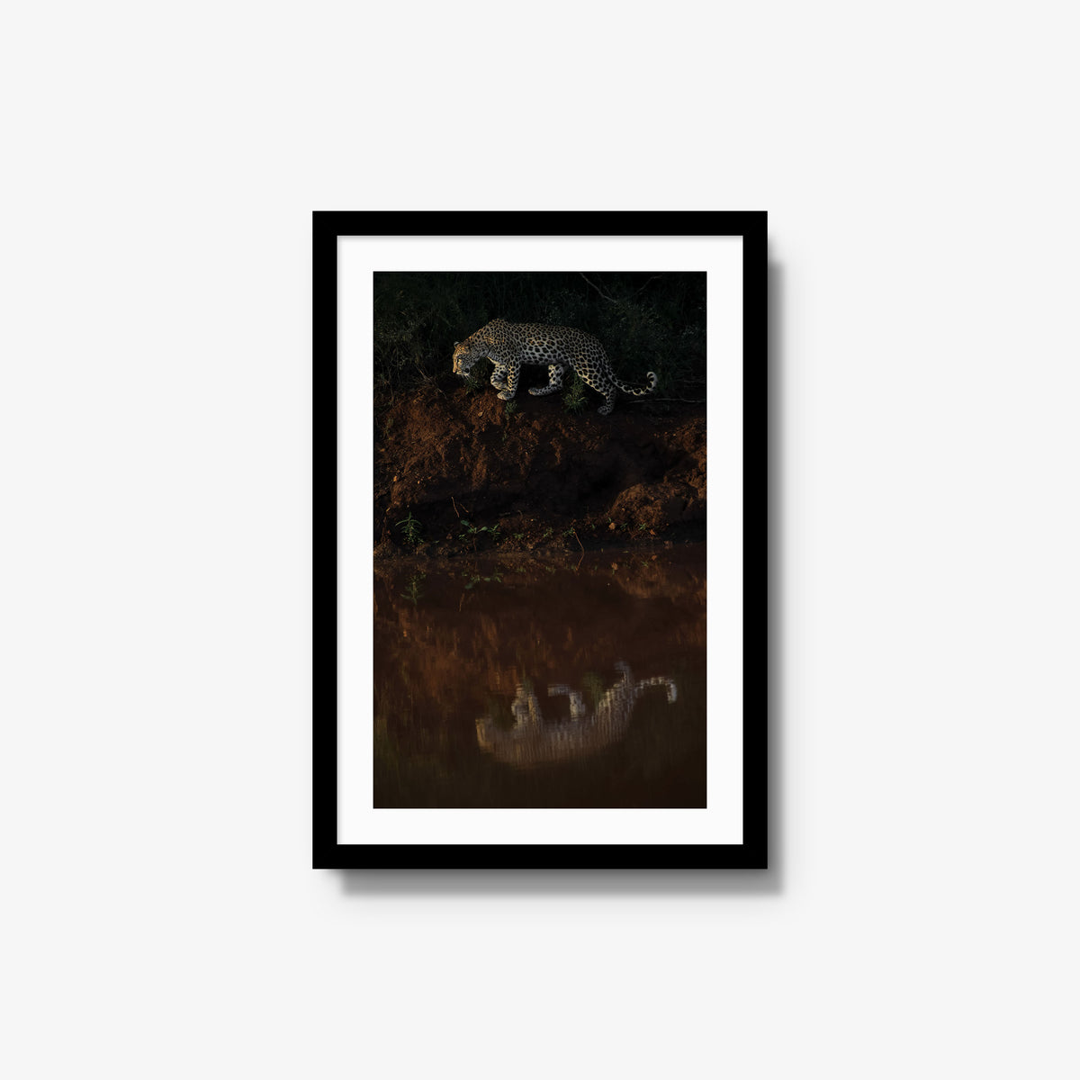 Reflection