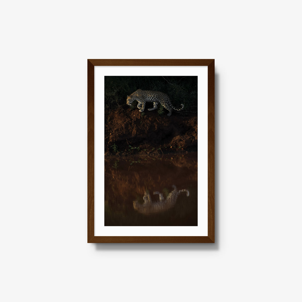 Reflection