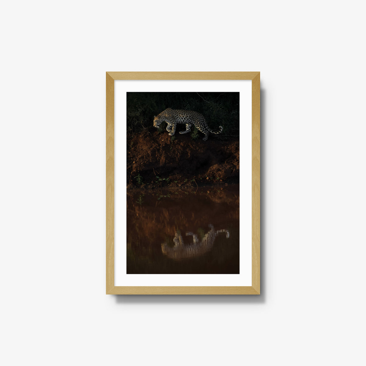 Reflection
