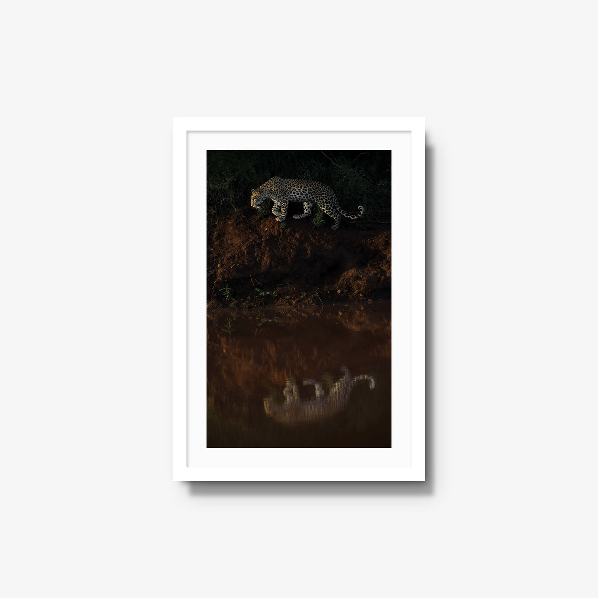 Reflection — medium / white / mat