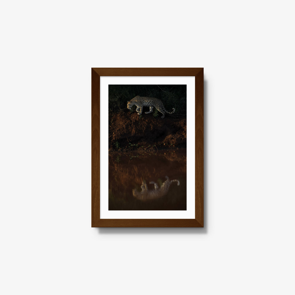 Reflection