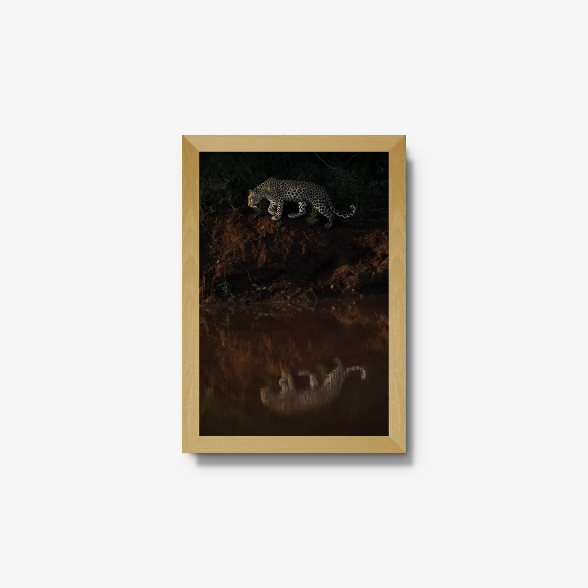 Reflection