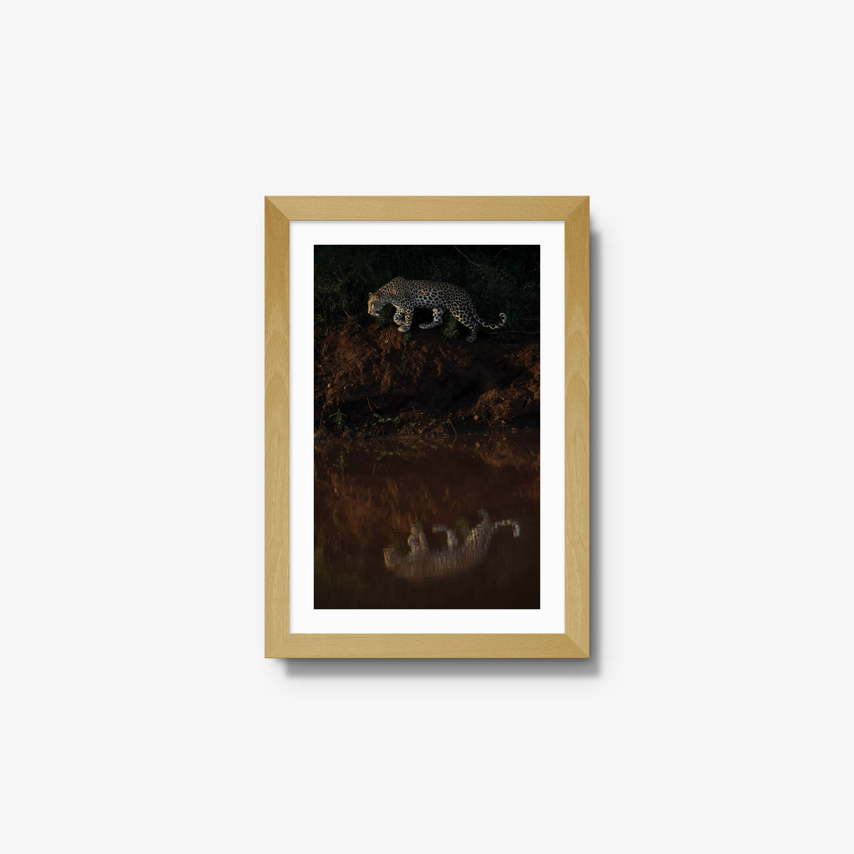 Reflection