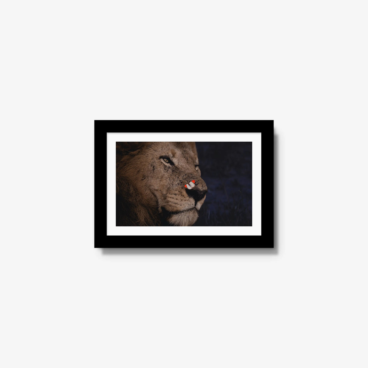 Unlikely Visitor — mini / black / mat