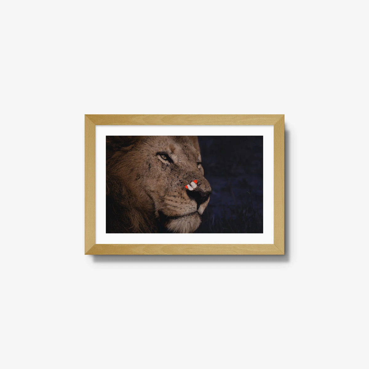 Unlikely Visitor — small / natural / mat