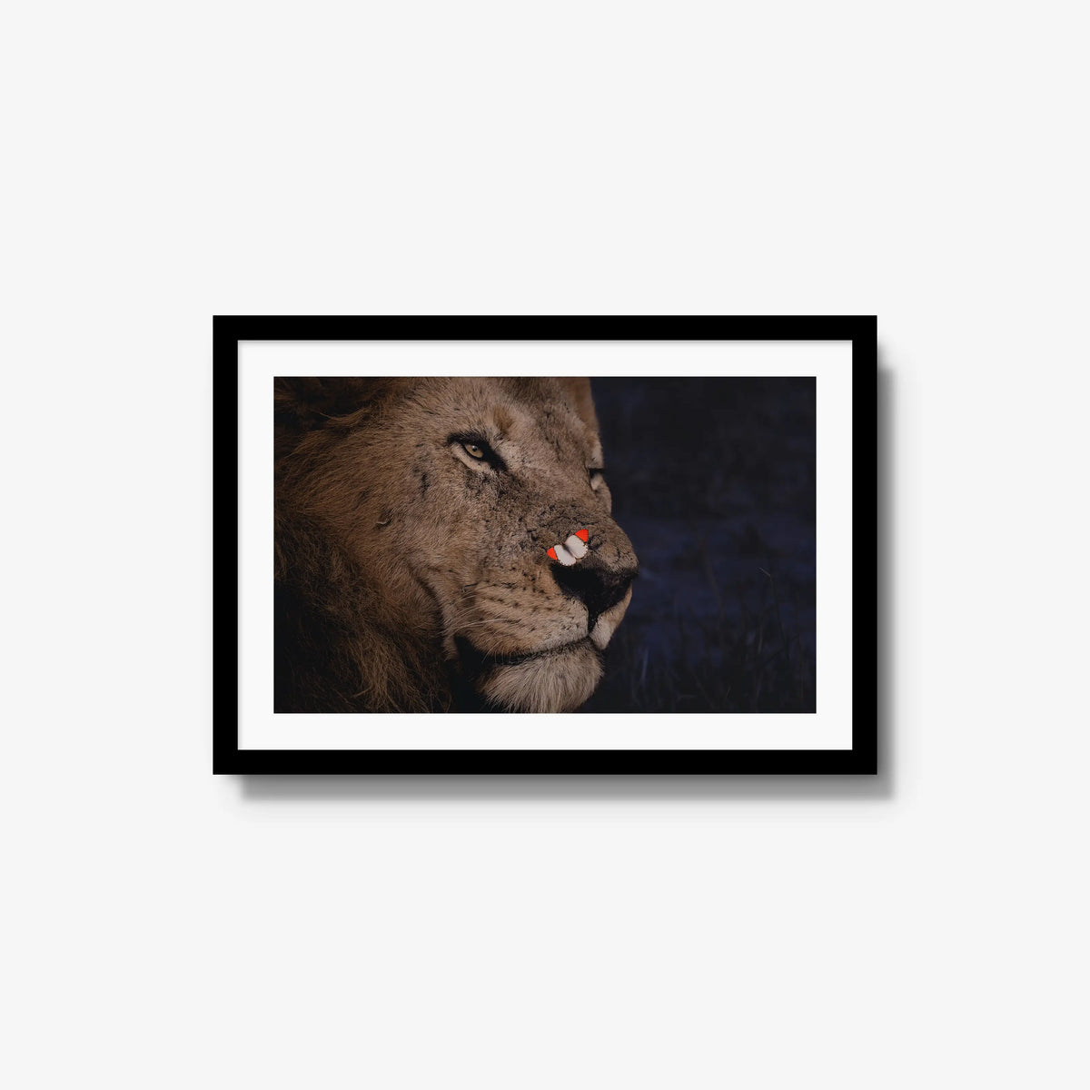 Unlikely Visitor — medium / black / mat