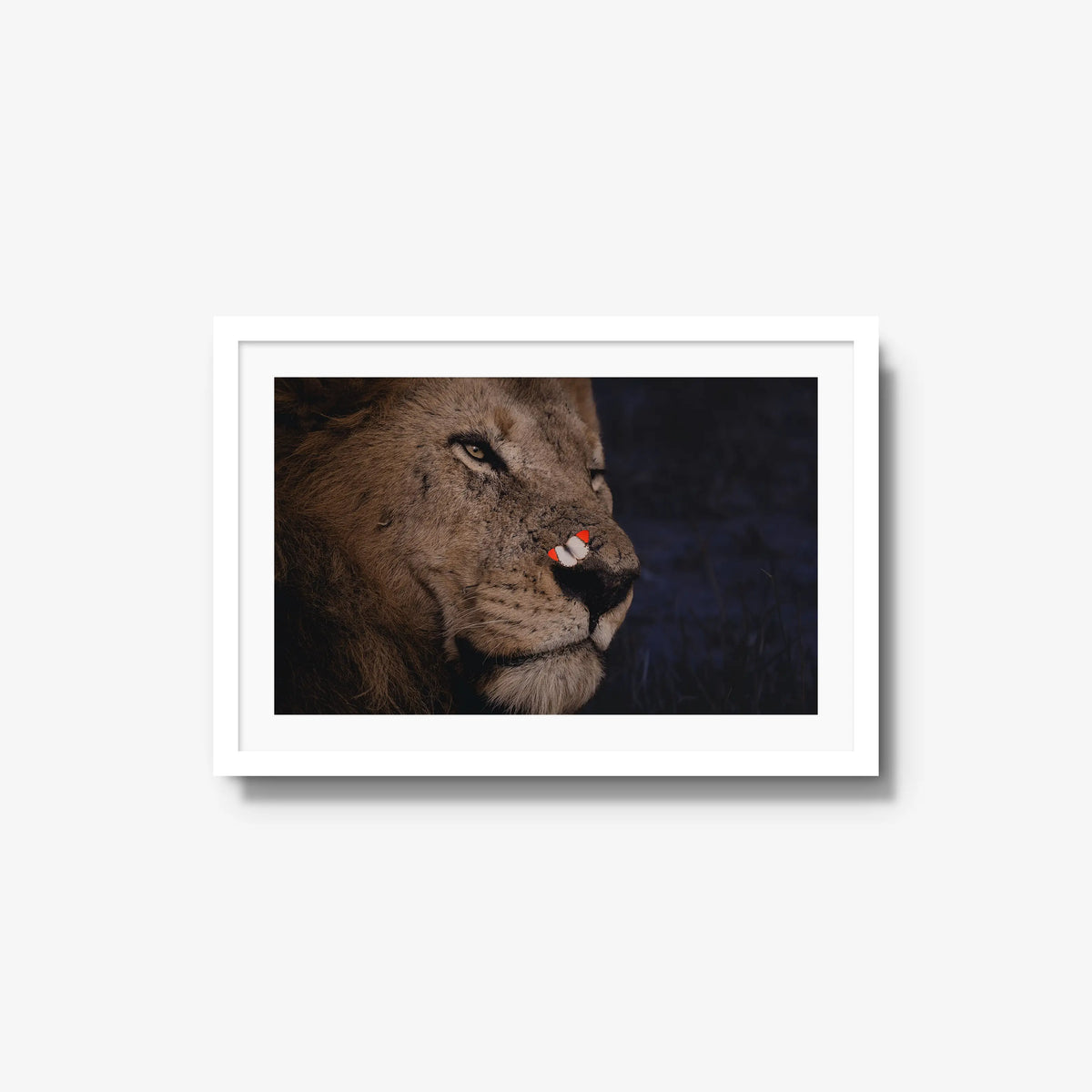 Unlikely Visitor — medium / white / mat