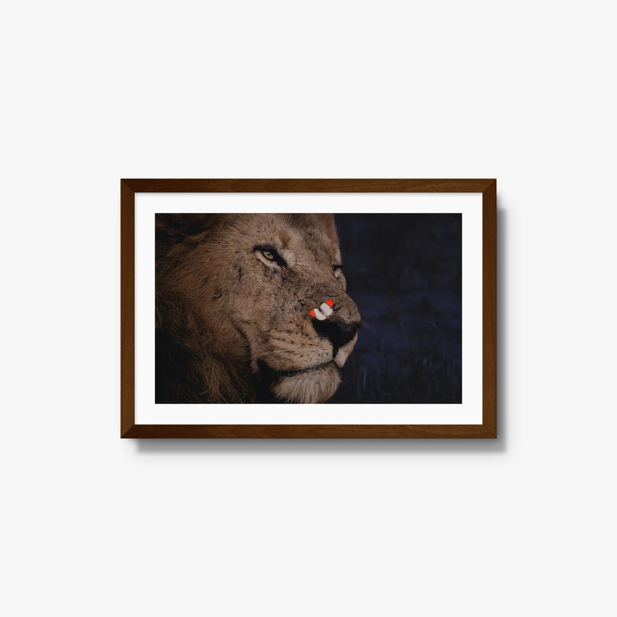 Unlikely Visitor — medium / brown / mat